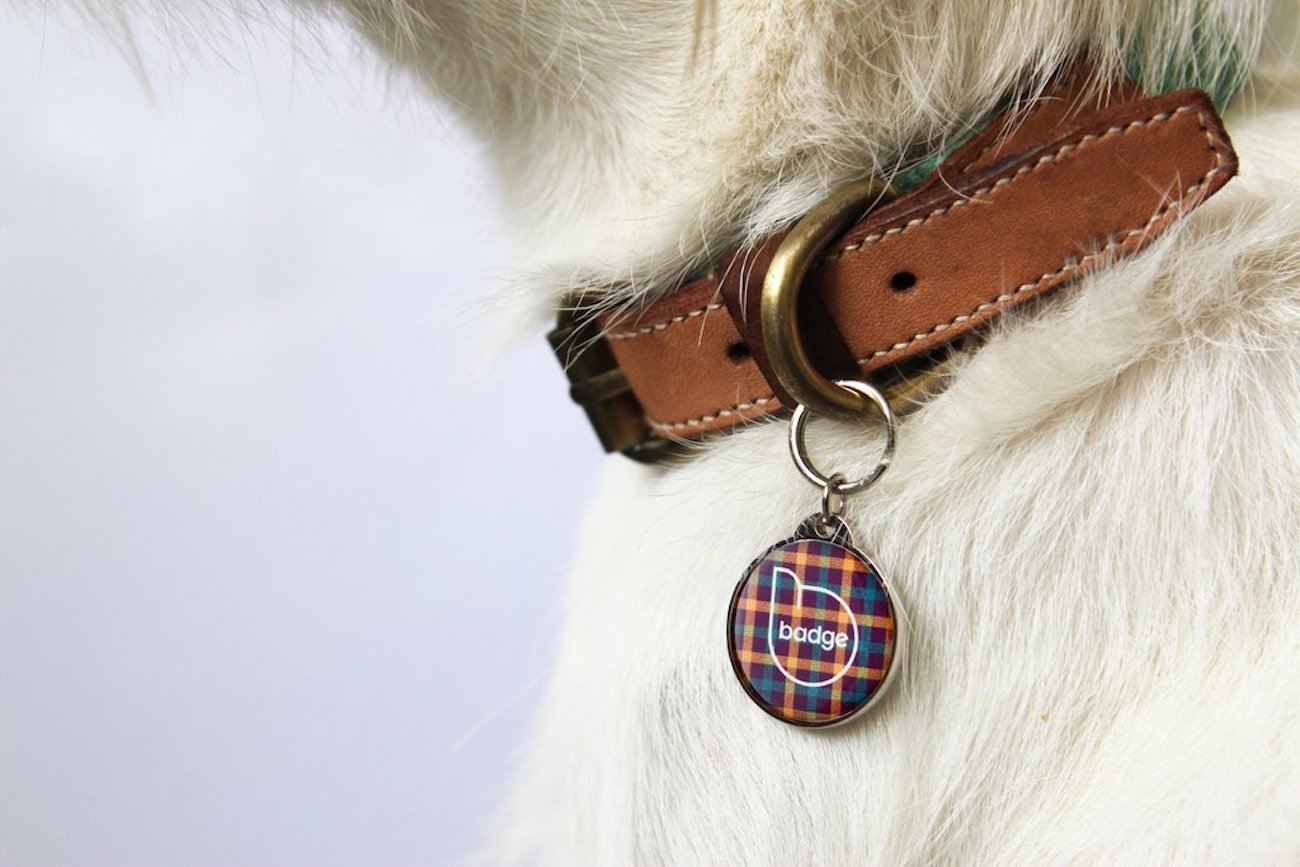 Pet Widget – Badge