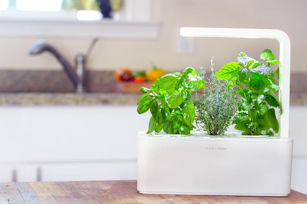 Click and Grow – Smart Garden