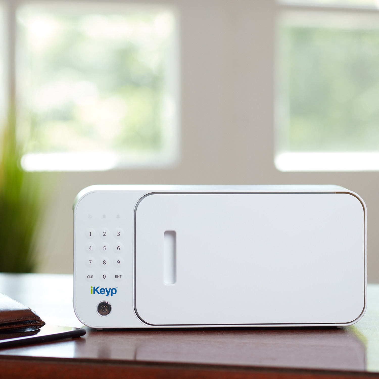 iKeyp Pro Smart Safe