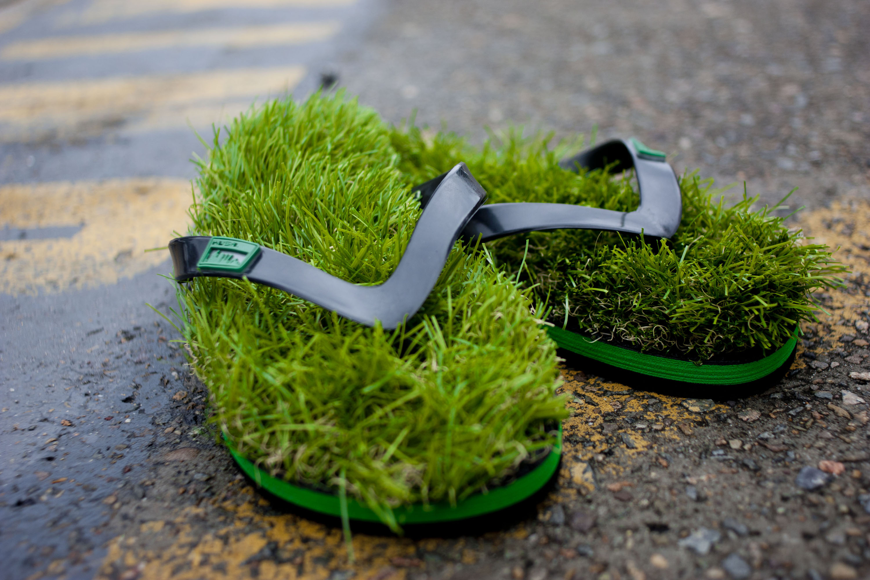 Cut to It! Four new products you have to see to believe