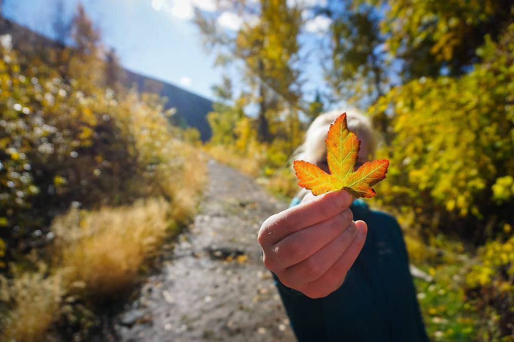 Fall Gear Guide 2018