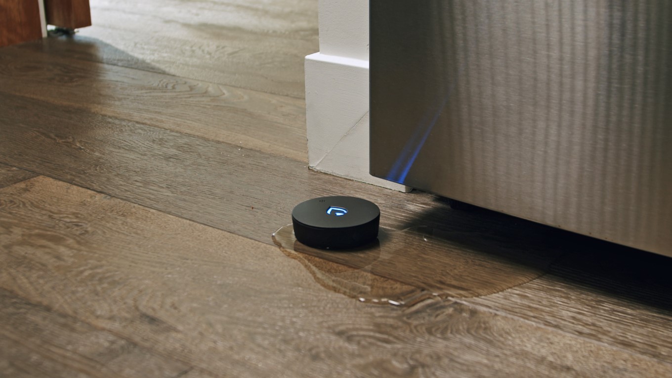 Phyn Smart Water Sensor