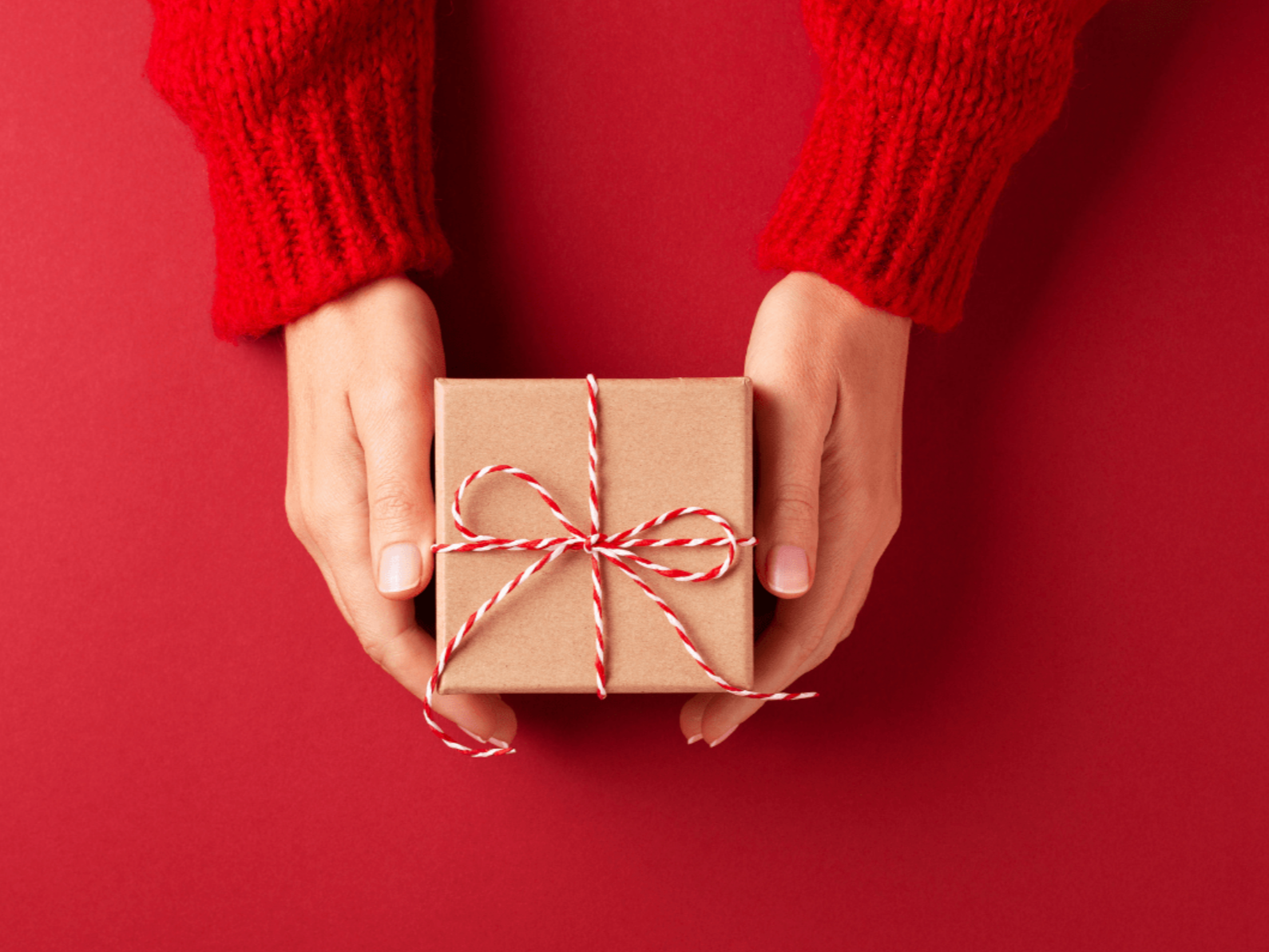 Holiday Gift Guide 2024